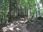 Durch dichten Wald geht es steil hinauf...