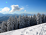 ...und über Herzogstand und Heimgarten zur Zugspitze