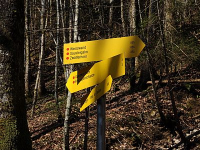 Hier rechts nach Nordosten weiter zur Sausteigalm