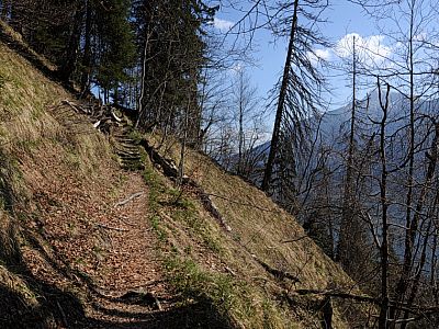 Nach ein paar Metern am Hang entlang...