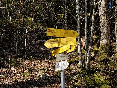 Hinter dem Gasthof geht es ...