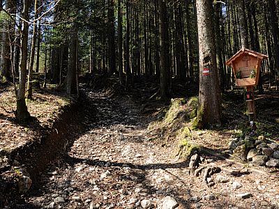 Es geht kurz durch den Wald, bevor ...