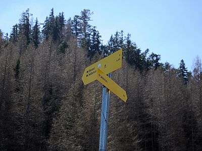 Wir halten uns hier nach Südosten...