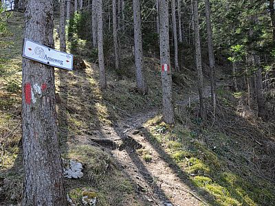 ... und wählen den Aufstieg über den Elferstein.