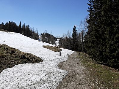 Hier zweigen wir rechts zur Stubneralm ab.