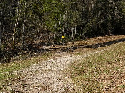 ... uns zu einer Skipiste führt.