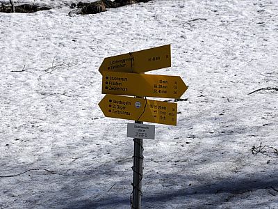 Noch etwa 10 Minuten bis zur Sausteigalm