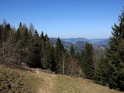 ... folgen diesem wieder durch den Wald bergab... 