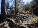 Direkt an der Steilwand verläuft der Weg