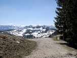 Der Blick zum Illingerberg wird wieder frei