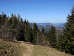 ... folgen diesem wieder durch den Wald bergab... 