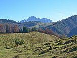 Blick von der Alm zu den Loferer Steinbergen