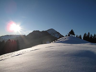 Blick von der Aueralm zum Fockenstein