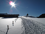 Kurz vor der Aueralm