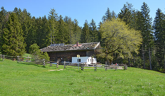 Bäckeralm (1067 m)