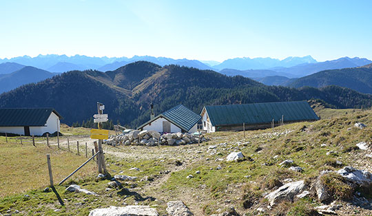 Bichler Alm (1437 m)