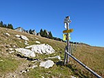 Schilderbaum an der Alm