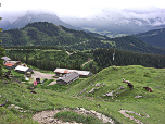 Blick zurück zur Alm