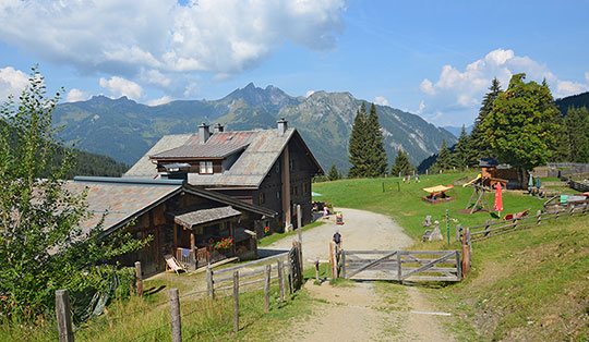 Breitenebenalm (1420 m)