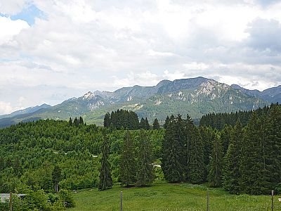 Blick auf die Ammergauer Nachbarschaft
