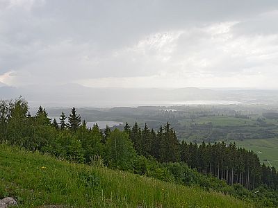 Gewitter über dem Forggensee