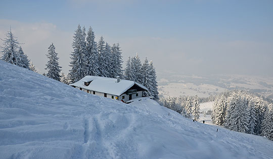 Bucheralm (1232 m)