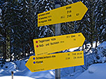 Wegweiser an der Hütte