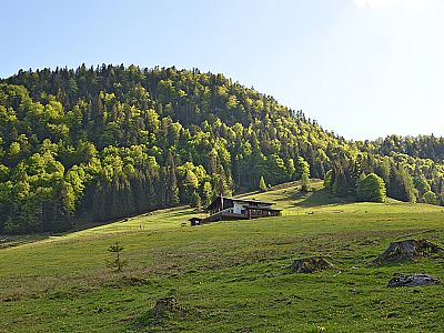 Die Edernalm vom Abstiegsweg nach Kössen gesehen