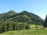 Blick zum Hirschbühl