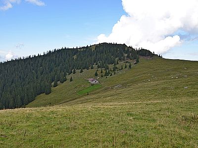 Kleiner Traithen mit Fellalm