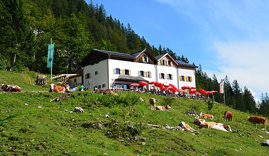 Gaudeamushütte (1267 m)