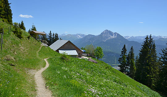 Gehrenalpe (1610 m)