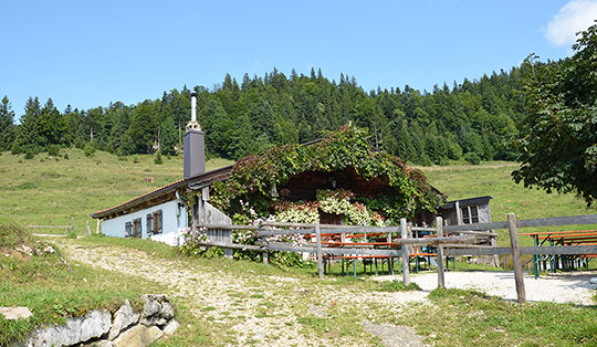 Goglalm (1143 m)