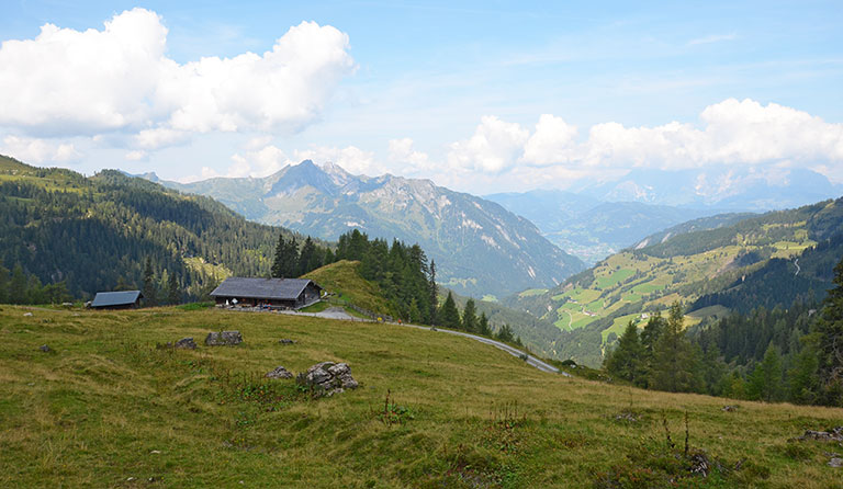 Großwildalm