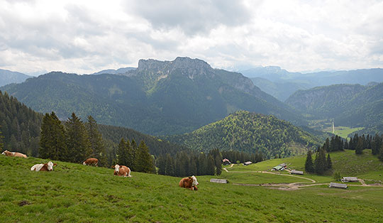 Haaralm (1325 m)