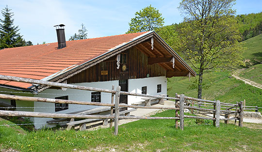 Herrenalm (847 m)