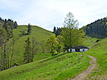 Herrenalm mit Reifenberg