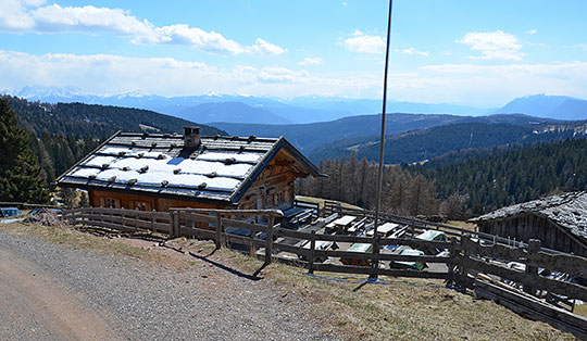 Jenesier Jöchl-Alm (1664 m)