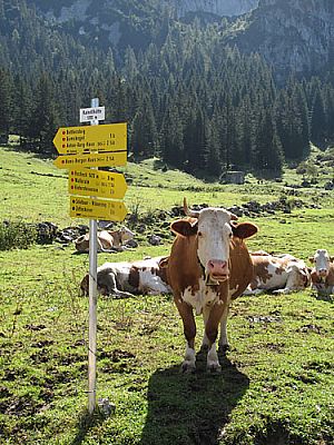 Wegweiser bei der Hütte