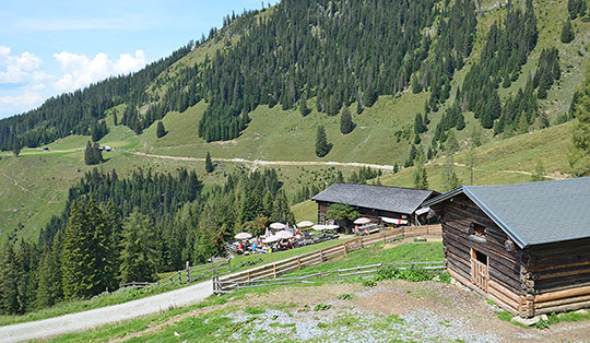 Karseggalm (1603 m)