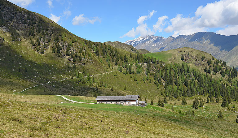 Kerschbaumeralm