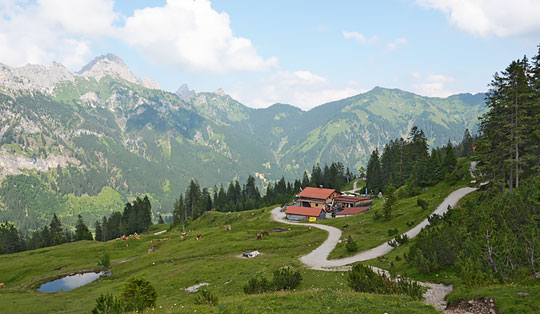 Krinnenalpe (1530 m)