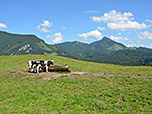 Blick über die Daffnerwaldalm zum Spitzstein