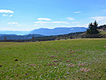 Ausblick von der Alm