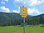 Wegweiser an der Alm