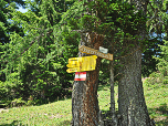 Wegweiser an der Oberbrunnalm