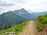 Blick von der Alpe zum Großen Widderstein