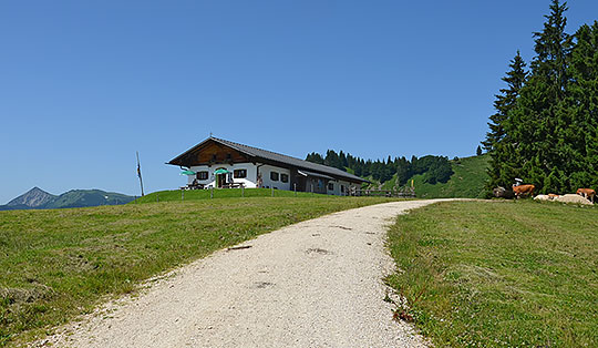 Piesenhausener Hochalm (1338 m)