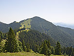Piesenhausener Hochalm vor der Hochplatte