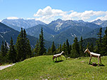 Blick zum Solstein und zur Erlspitze